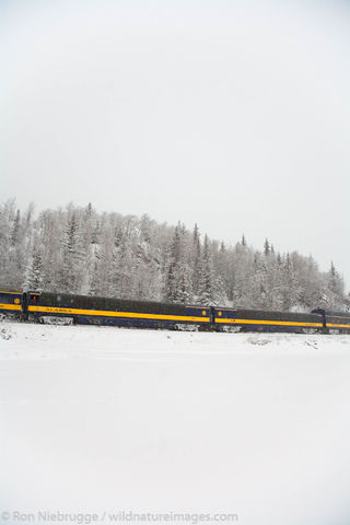 Alaska Railroad