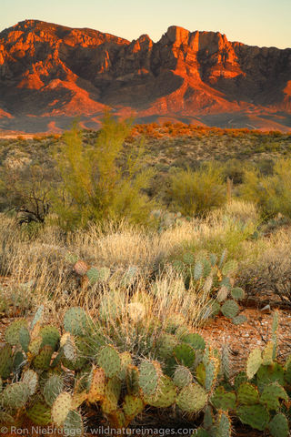 Tucson, Arizona