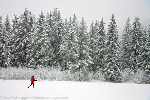 Cross Country skiing