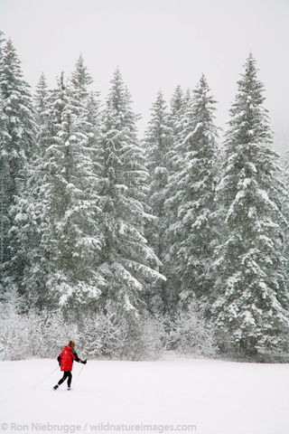 Cross Country skiing