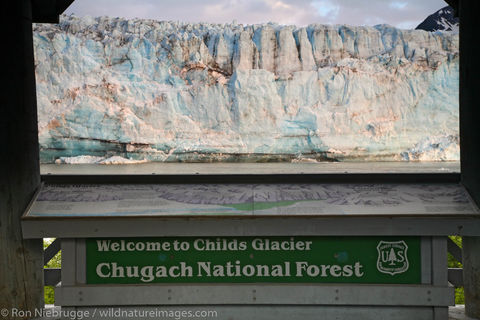 Childs Glacier