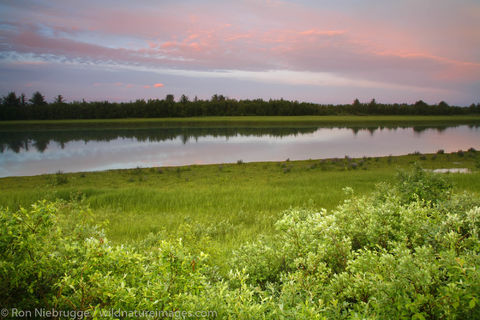 Alaganik Slough