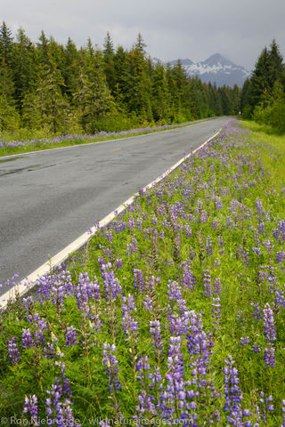 Copper River Highway