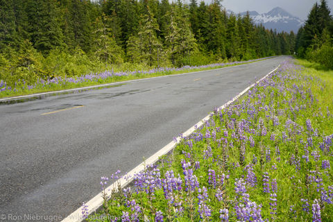 Copper River Highway