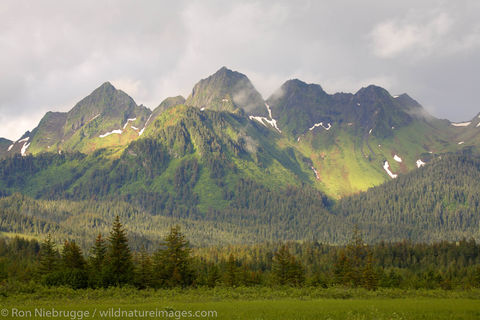 Chugach National Forest