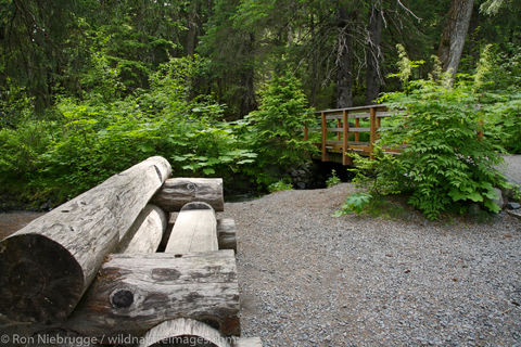 Winner Creek Gorge Trail