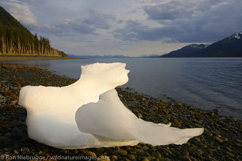 Prince William Sound
