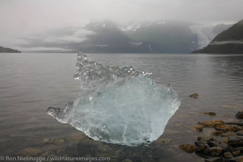 Prince William Sound