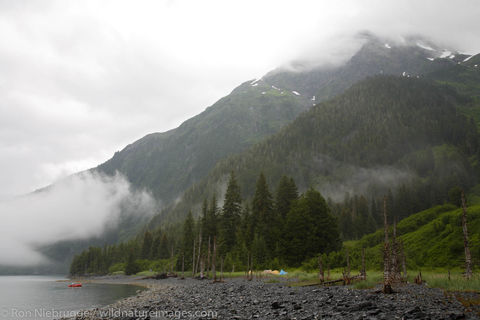 Prince William Sound