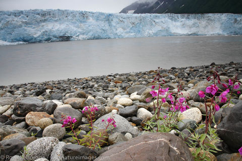 Childs Glacier