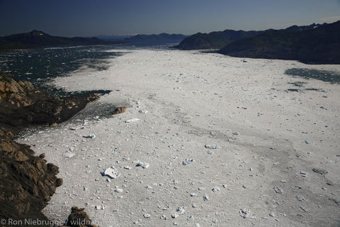 Prince William Sound
