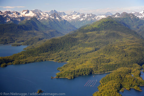 Prince William Sound
