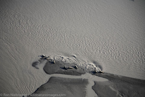 Copper River Delta