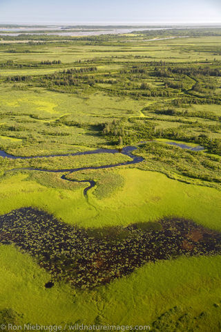 Copper River Delta