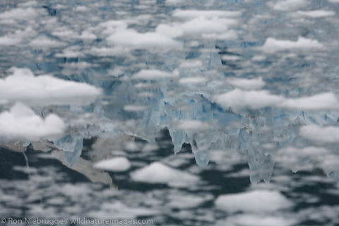 Prince William Sound
