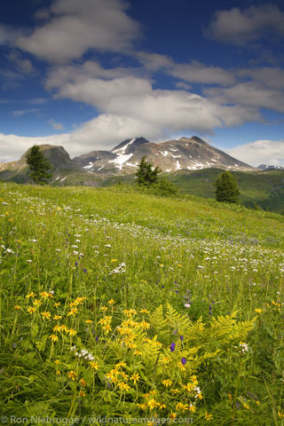 Lost Lake Trail