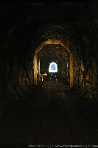 Alaska Railroad