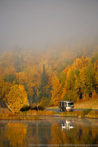 Tern Lake