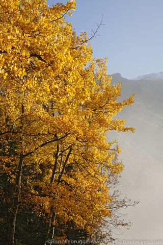 Summit Lake