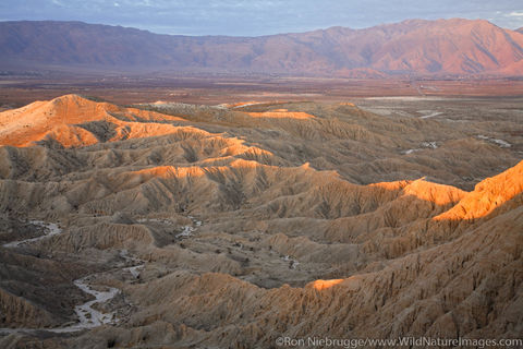 Font's Point