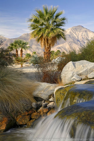 Anza Borrego Desert State Park