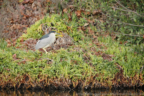 Santee Lakes Recreation Preserve