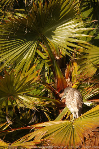 Santee Lakes Recreation Preserve