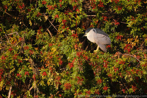 Santee Lakes Recreation Preserve