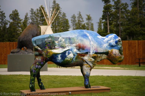 Painted buffalo