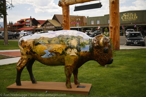 Painted buffalo