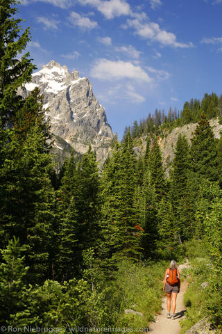Cascade Canyon Trail