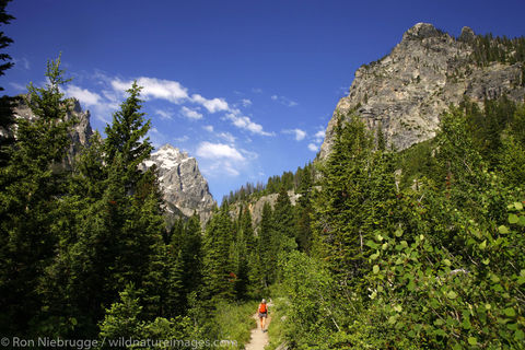 Cascade Canyon Trail
