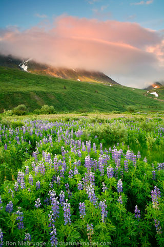 Tatshenshini-Alsek Wilderness Provincial Park 