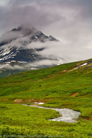 Tatshenshini-Alsek Wilderness Provincial Park 