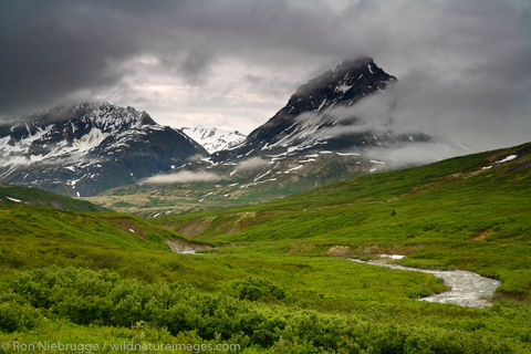 Tatshenshini-Alsek Wilderness Provincial Park 