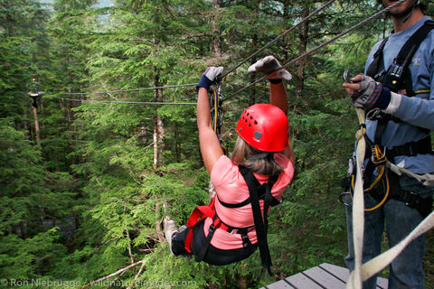 Zip Line