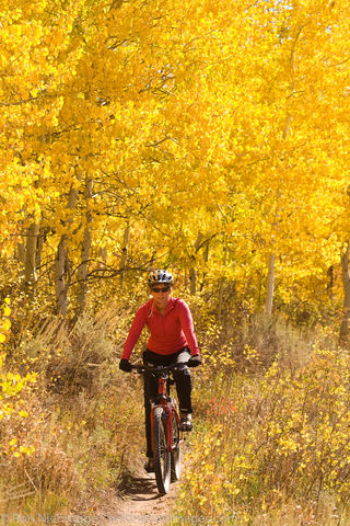 Moutain biking, Bridger-Teton National Forest