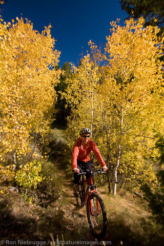 Moutain biking, Bridger-Teton National Forest