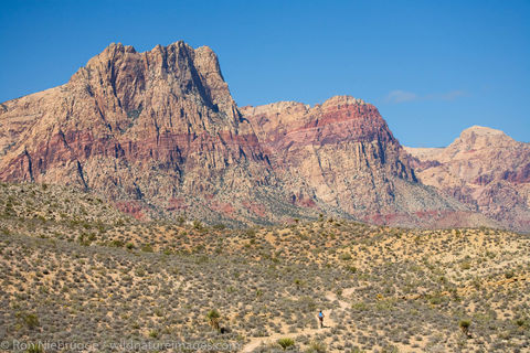 Mountain biking near Las Vegas, Nevada