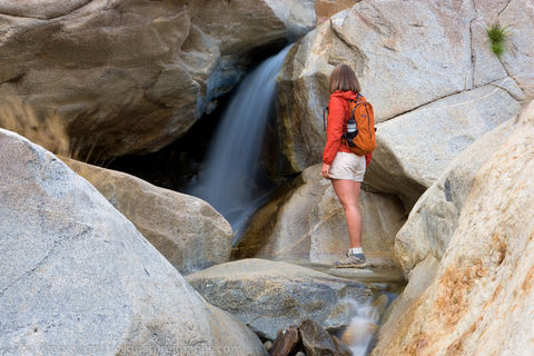 Borrego Palm Canyon