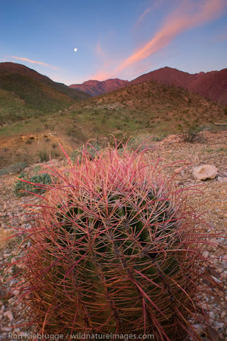 Anza-Borrego