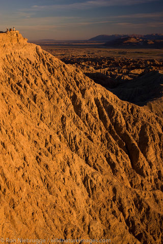 Anza-Borrego