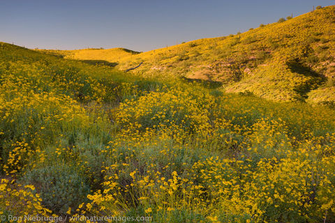 McDowell Mountain Regional Park