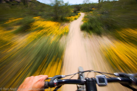 Mountain Biking