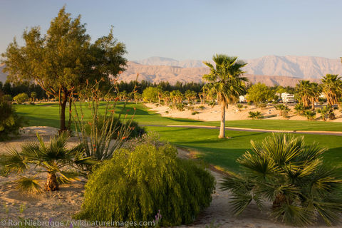 Anza-Borrego