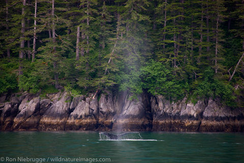 Kenai Fjords National Park
