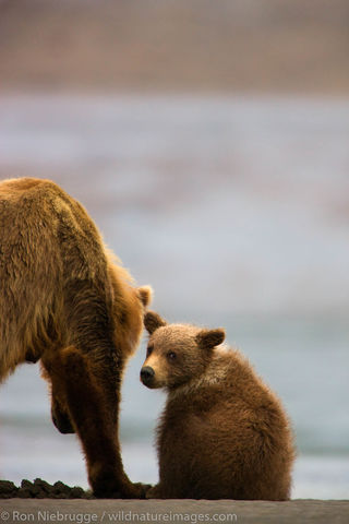 Lake Clark National Park