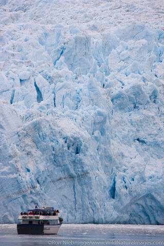 Aialik Glacier