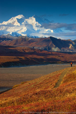 Mount Denali