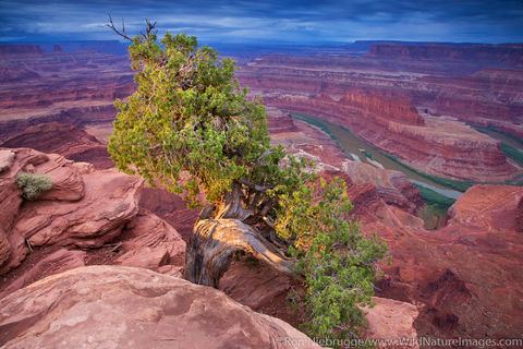 Dead Horse Point